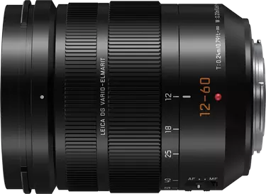 Detail review of Panasonic Leica DG Vario-Elmarit 12-60mm F2.8-4.0