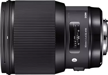Sigma 85mm F1.4 DG HSM Art vs Canon EF 135mm F2.8 SF detail comparison